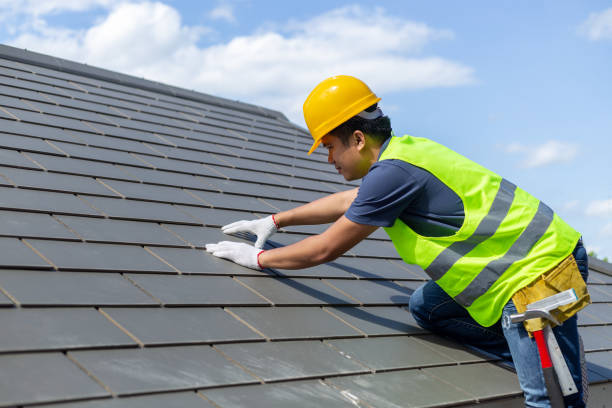 Best Roof Gutter Cleaning  in Woodville, WI