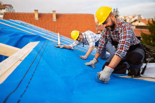 Best Residential Roofing Contractor  in Woodville, WI